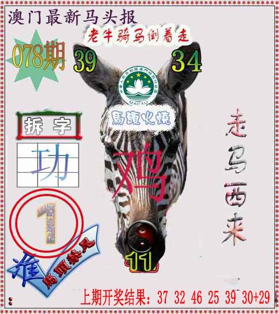 078期马头报[图]